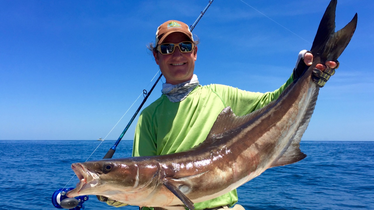 What's Fresh in May? Cobia, Hilton Head Island