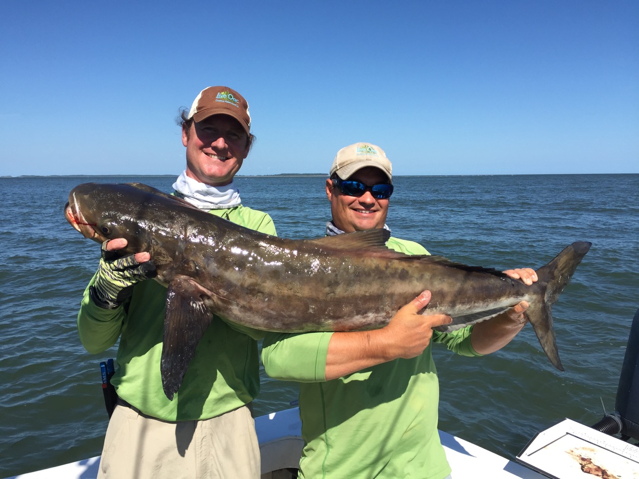 What's Fresh in May? Cobia, Hilton Head Island